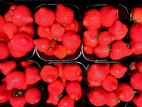 De winkel van Fruitbedrijf J de Jong